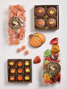 Box of fall themed chocolates