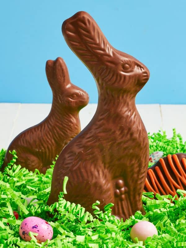 2 milk chocolate solid rabbits